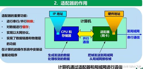 计算机网络Day03 数据链路层与系统工程服务实战解析